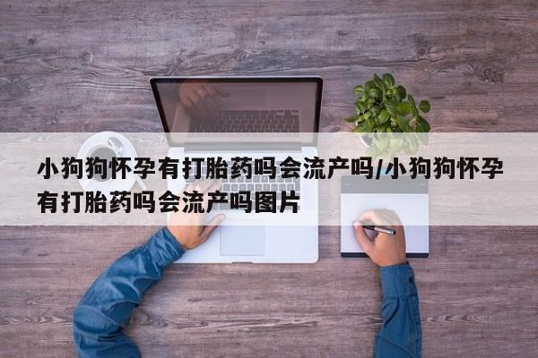 吃什么药可以流产堕胎、小狗狗怀孕有打胎药吗会流产吗/小狗狗怀孕有打胎药吗会流产吗图片