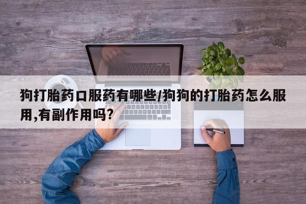 吃什么药可以流产堕胎、狗打胎药口服药有哪些/狗狗的打胎药怎么服用,有副作用吗?