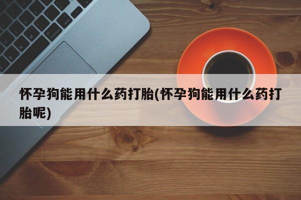 吃什么药可以流产堕胎、怀孕狗能用什么药打胎(怀孕狗能用什么药打胎呢)