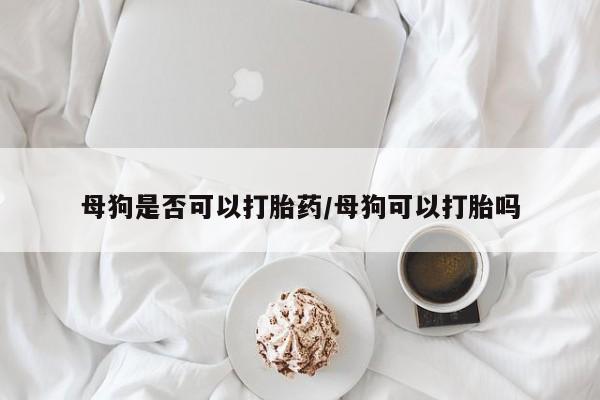 吃什么药可以流产堕胎、母狗是否可以打胎药/母狗可以打胎吗