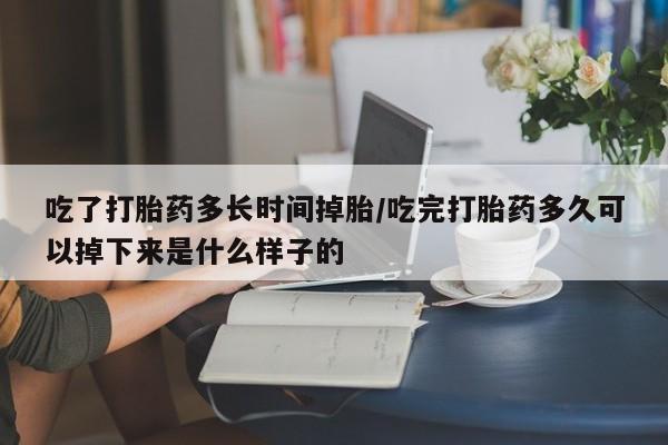 吃什么药可以流产堕胎、吃了打胎药多长时间掉胎/吃完打胎药多久可以掉下来是什么样子的